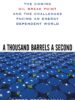 A Thousand Barrels a Second: The Coming Oil Break Point and the Challenges Facing an Energy Dependent World